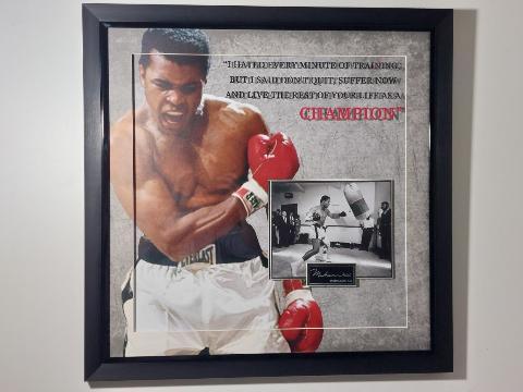 テレンスクロフォードとフェリックディアスの直筆サインパンフレット Fighting | Collector's Den