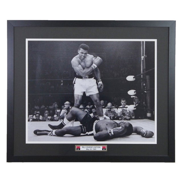 Fighting | Collector's Den